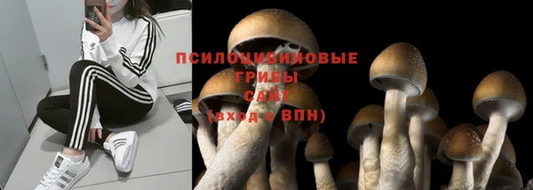 прущая мука Елабуга