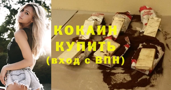 шишки Билибино