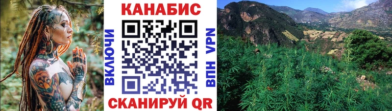 Бошки марихуана SATIVA & INDICA  как найти наркотики  Зуевка 